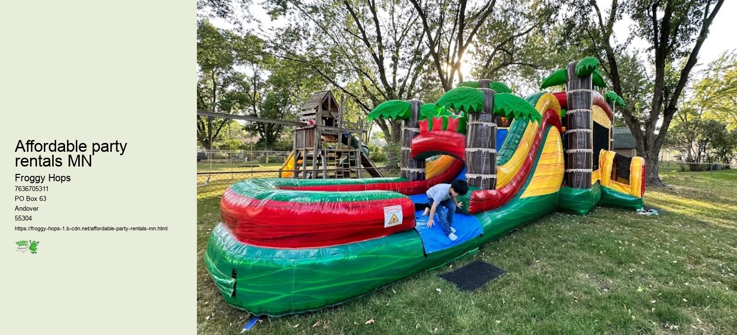 Jump into Fun: Bounce House Rentals Now Available Across Minnesota!
